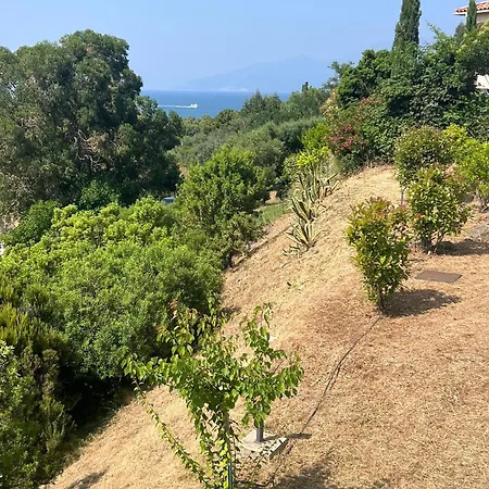 Cala Di Mare Semesterbostad Saint-Florent (Corsica)