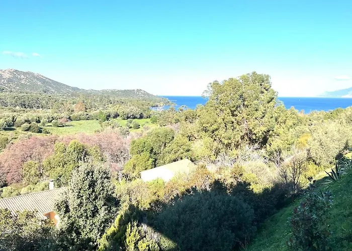 Cala Di Mare Prázdninový dům Saint-Florent (Corsica)