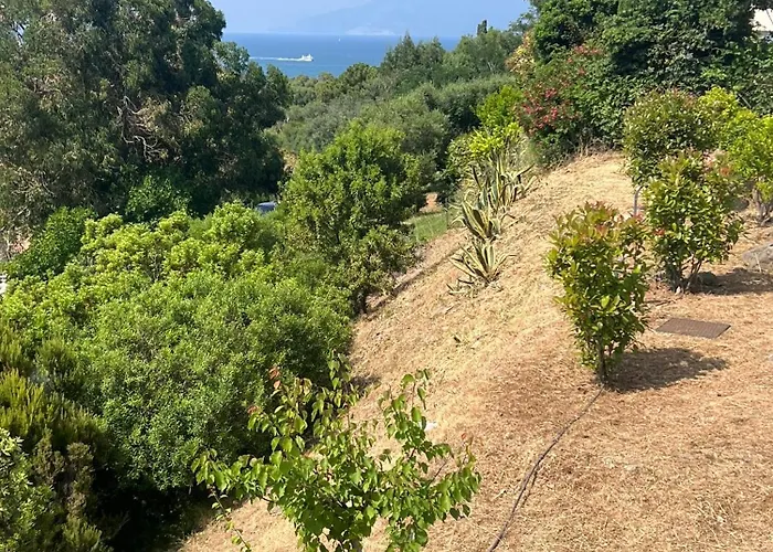 Cala Di Mare Prázdninový dům Saint-Florent (Corsica)