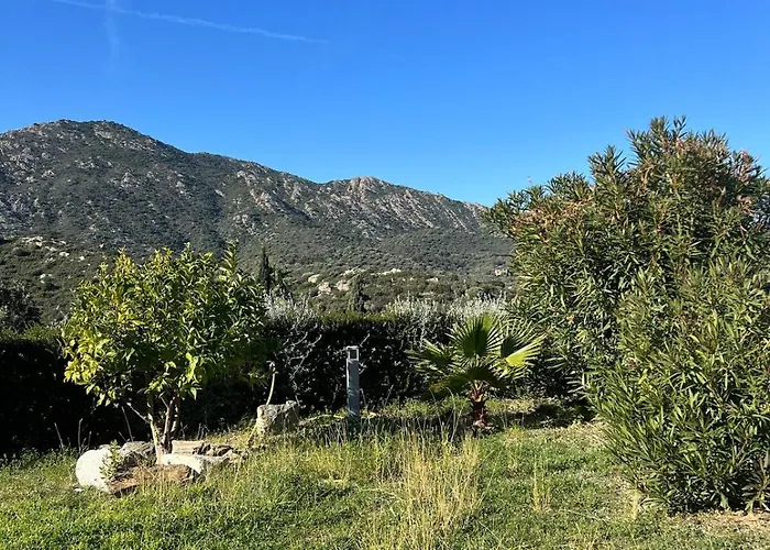 Cala Di Mare Saint-Florent (Corsica)